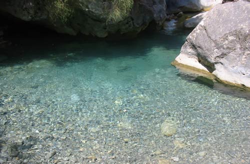 The crystal waters of Samaria's streams.