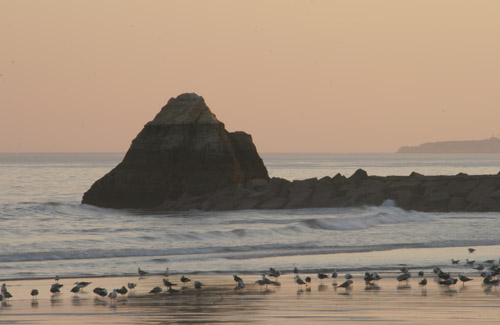Praia da Rocha at sunset