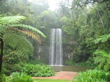 Millaa Millaa Falls, Tablelands, Queensland