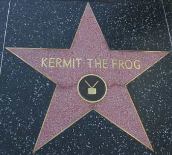 Kermit the Frog's star