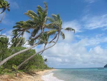 Paradise found? The view from the island where the lovo was being prepared.