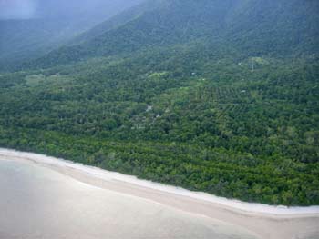 Daintree Rainforest