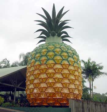 The Big Pineapple