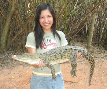 Manda holding crocodile