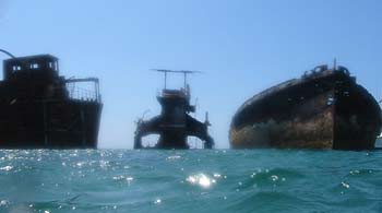 A snorkeller's eye view of the Tangalooma Wrecks.