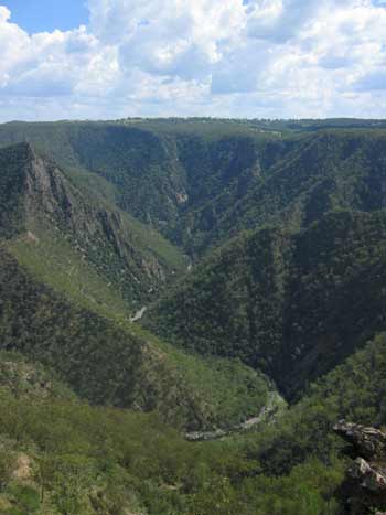 Wollomombi Gorge.