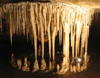 The 'birdcage', Imperial Cave.