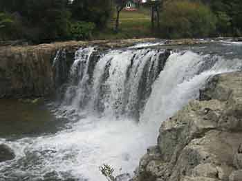 Haruru Falls - Attractive, not spectacular.