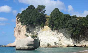 Cathedral Cove