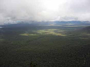 The view from the car park at Reid's Lookout - as glimpsed through a short break in the misty clouds.