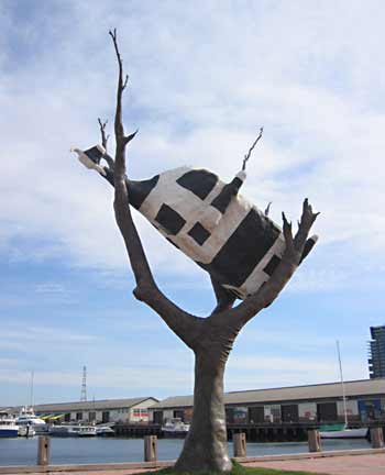 Cow Up a Tree - sculpture in Melbourne.