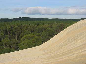 Henty Dunes