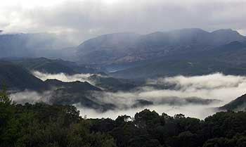 Moody landscape near Queenstown.