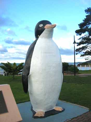 Giant penguin, in Penguin!