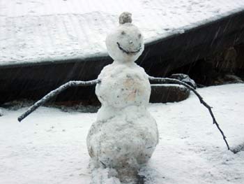 A snowman in Australia.