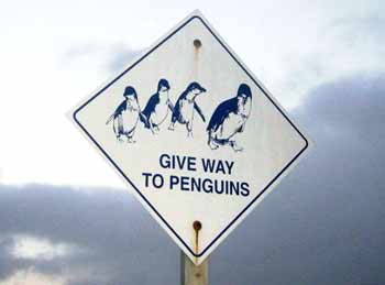 Road sign reads: Give way to penguins