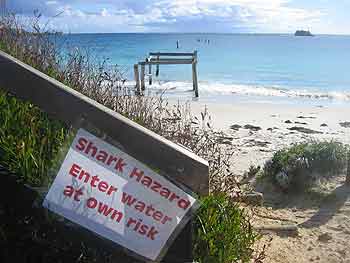 Shark warning sign at Hamelin Bay