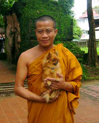 Monk carrying a little Chihuahua
