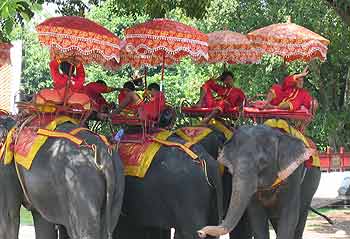 The elephants of Ayutthaya await their next customers.