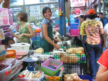 Chatuchak Market