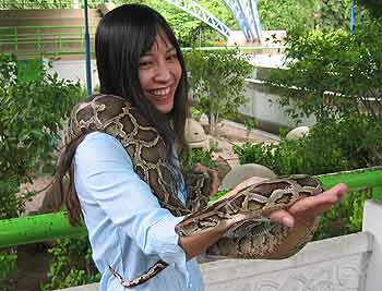 Manda holding a python