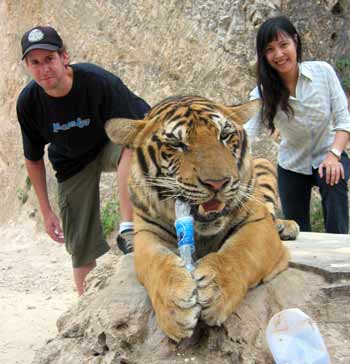 Ian, Manda and a tiger