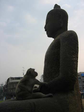 Monkey by Buddha statue.