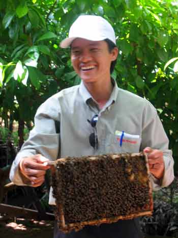 Dong holding tray of bees