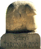 Taronga Zoo stone sculpture