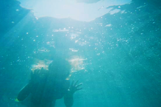 Daisy, swimming at Clovelly