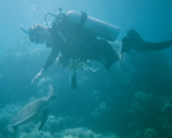 Me and Mr Turtle, Great Barrier Reef.