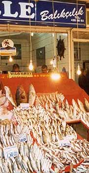 Decorative image:  a fish stall in Ankara