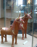 Bulls museum piece.